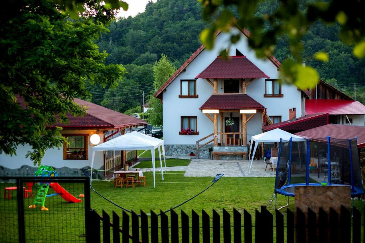Conacul De Sub Munte Villa Novaci-Straini Luaran gambar