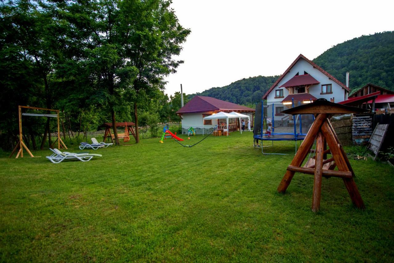 Conacul De Sub Munte Villa Novaci-Straini Luaran gambar