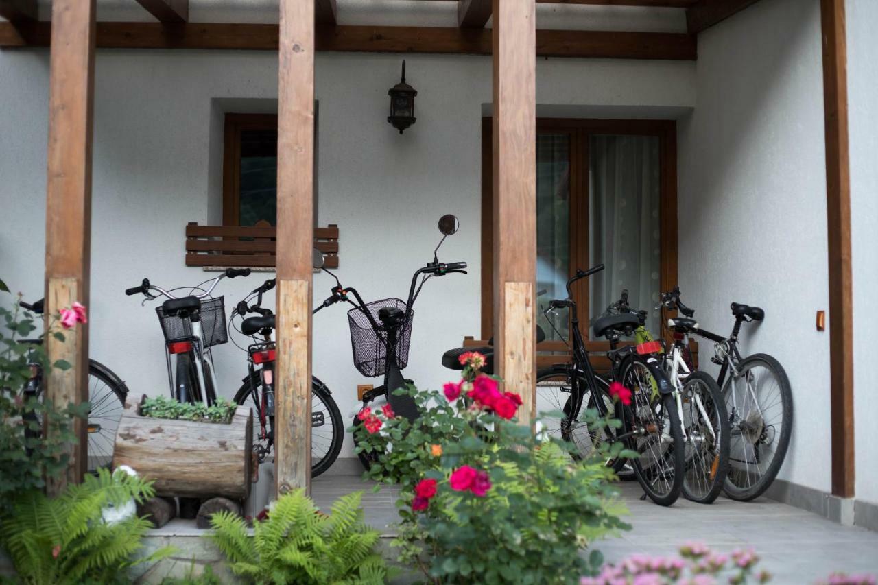 Conacul De Sub Munte Villa Novaci-Straini Luaran gambar