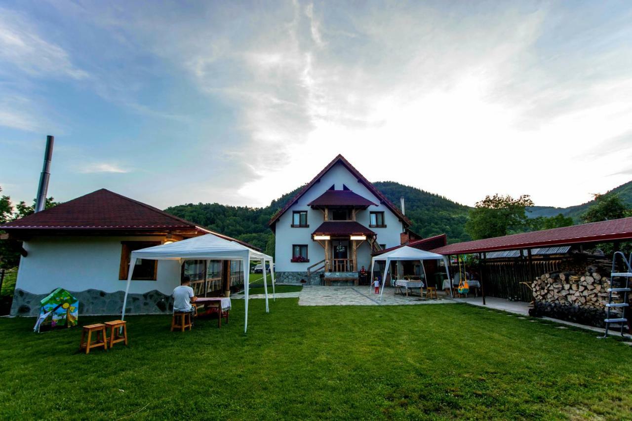 Conacul De Sub Munte Villa Novaci-Straini Luaran gambar